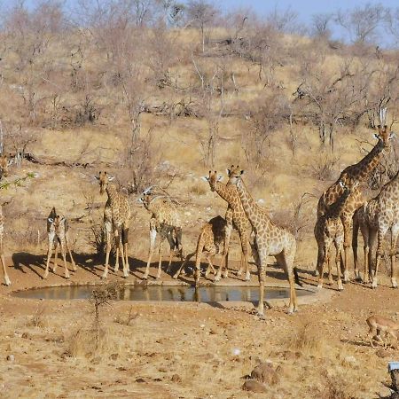 Mbizi Bush Lodge Grietjie Game Reserve Екстериор снимка