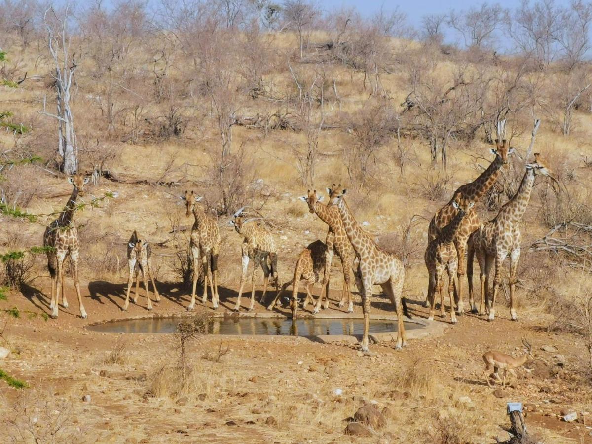 Mbizi Bush Lodge Grietjie Game Reserve Екстериор снимка