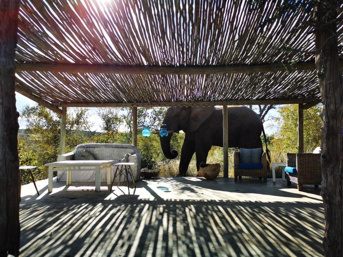 Mbizi Bush Lodge Grietjie Game Reserve Екстериор снимка