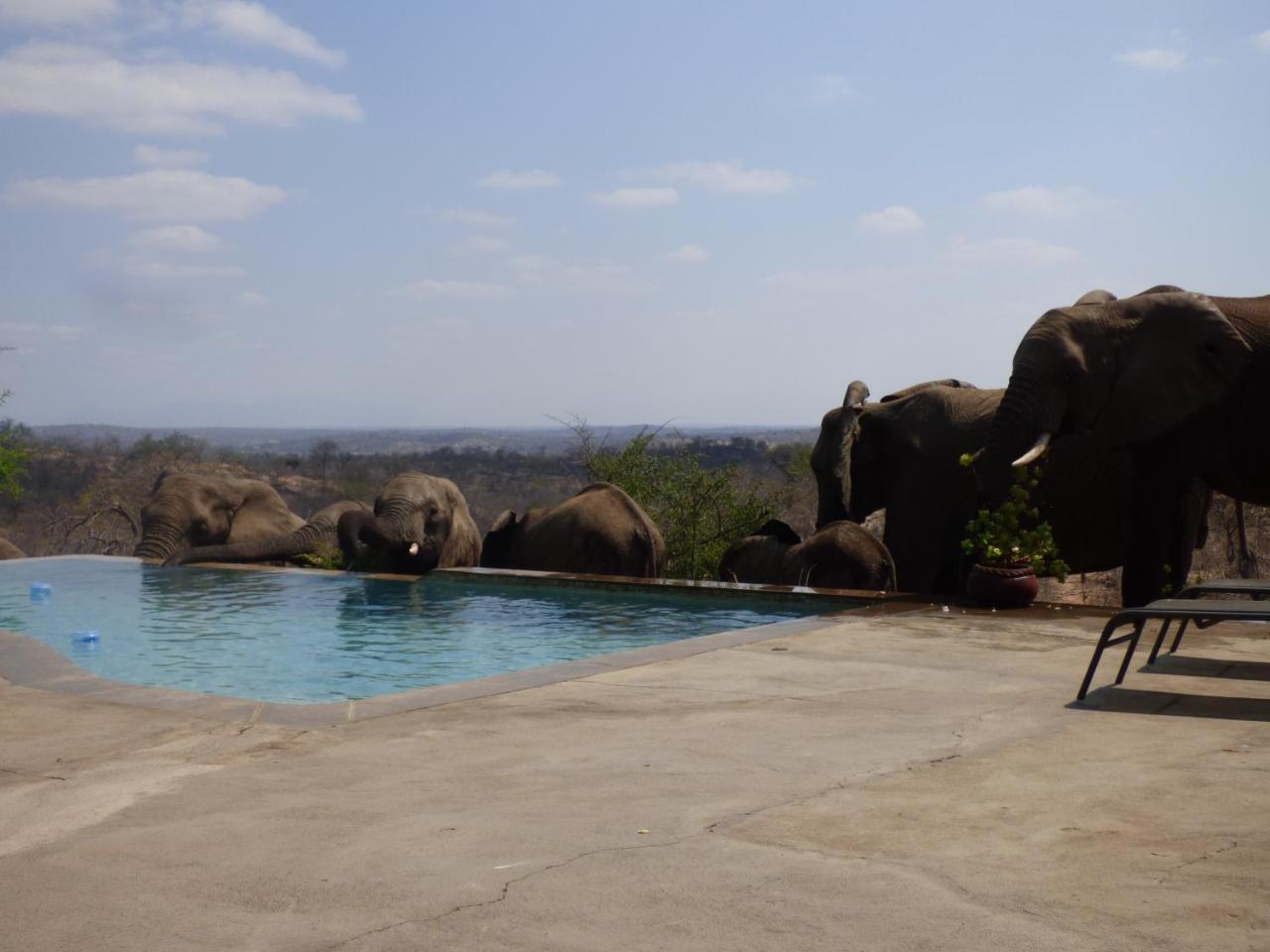 Mbizi Bush Lodge Grietjie Game Reserve Екстериор снимка
