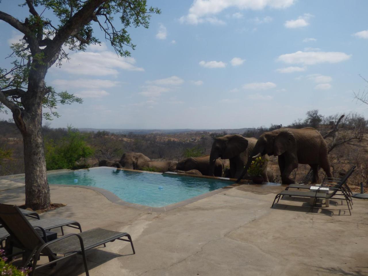 Mbizi Bush Lodge Grietjie Game Reserve Екстериор снимка