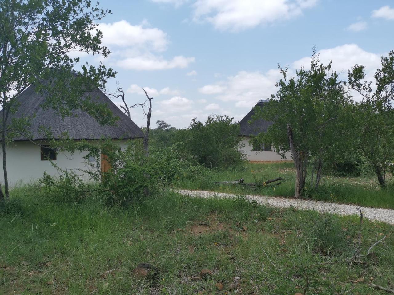 Mbizi Bush Lodge Grietjie Game Reserve Екстериор снимка