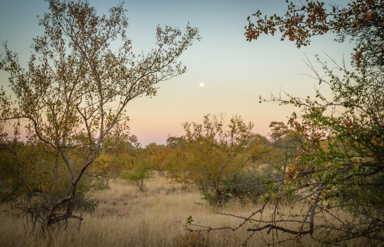 Mbizi Bush Lodge Grietjie Game Reserve Екстериор снимка