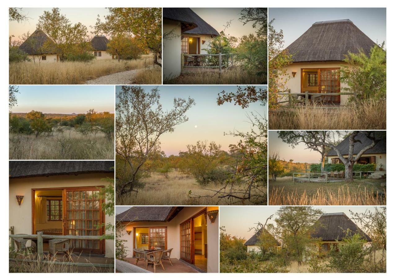 Mbizi Bush Lodge Grietjie Game Reserve Екстериор снимка